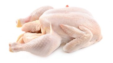 bisnis karkas ayam