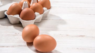 cara menyimpan telur ayam