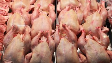 Mengolah Potongan Karkas Ayam