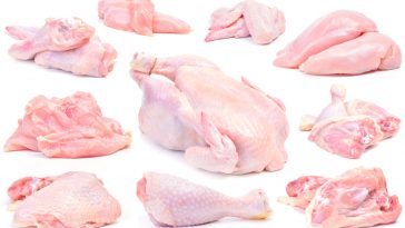 Memilih Ayam Potong