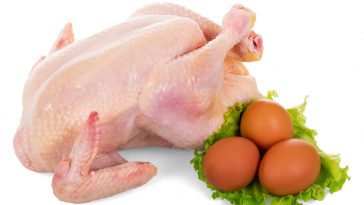 Tips Bisnis Karkas Ayam