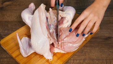 Bisnis Karkas Ayam