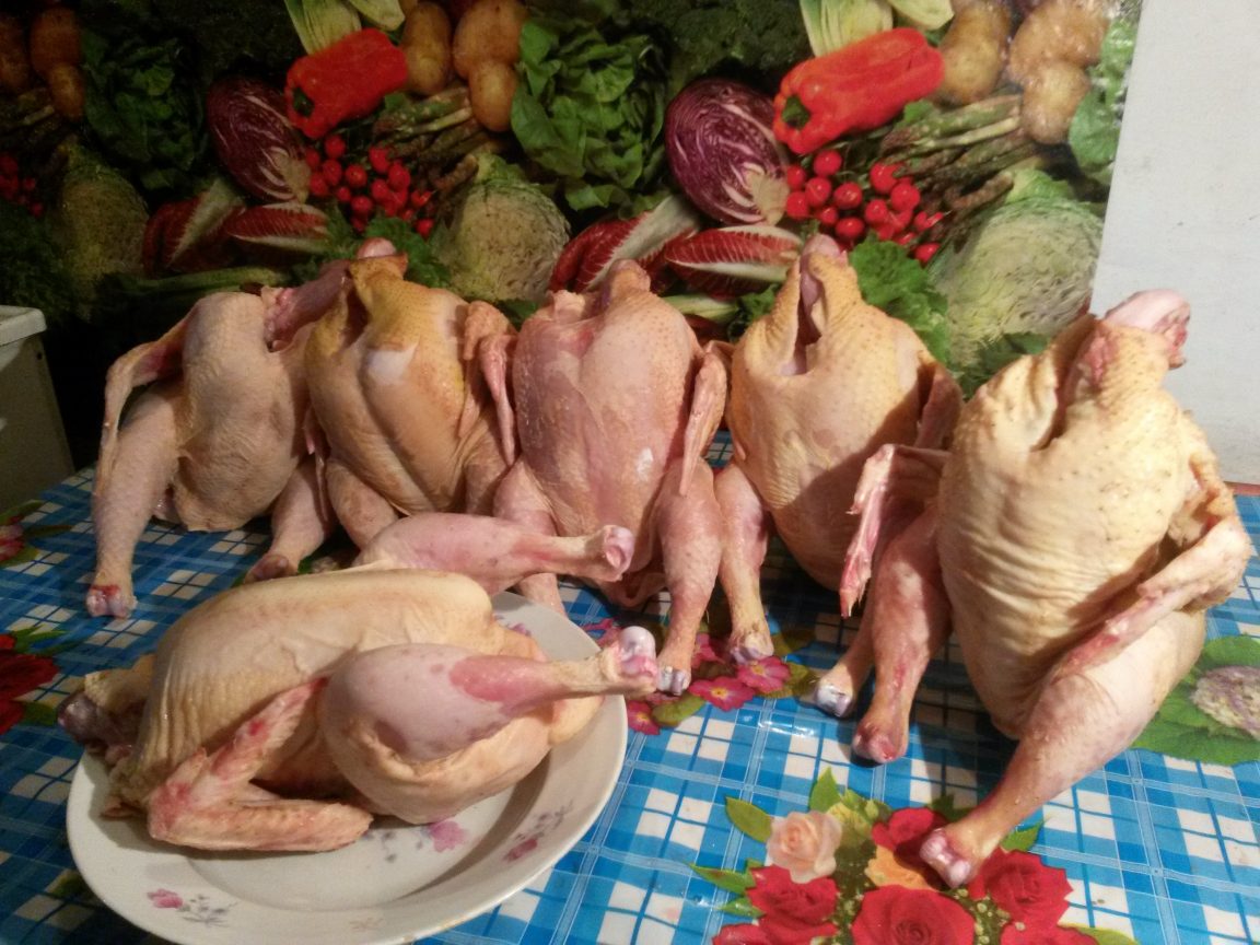 standarisasi karkas ayam